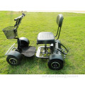 china small golf cart,golf clubs for sale